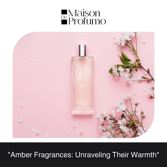 "Amber Fragrances: Unraveling Their Warmth"