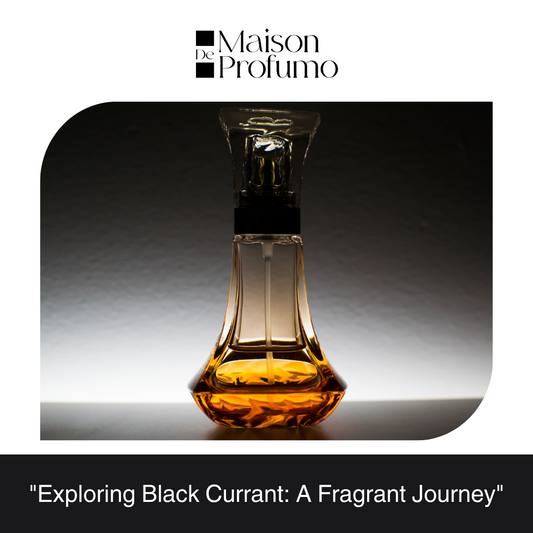 "Exploring Black Currant: A Fragrant Journey"