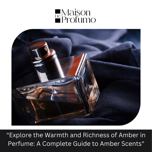 "Explore the Warmth and Richness of Amber in Perfume: A Complete Guide to Amber Scents"