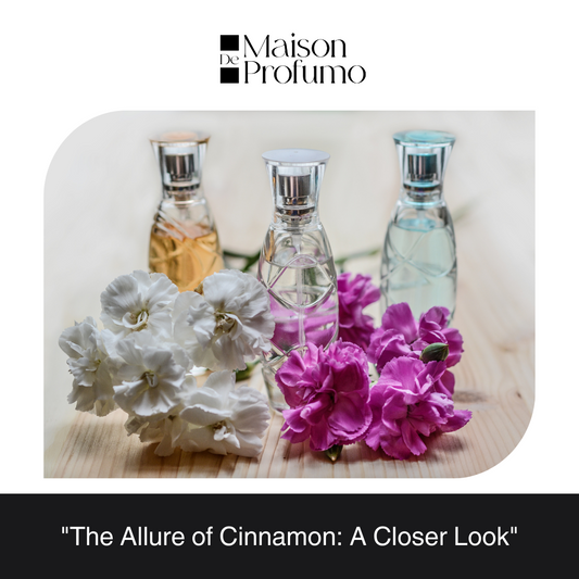 "The Allure of Cinnamon: A Closer Look"